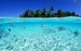 banco de peces, el mar azul, fondo del mar, isla, palmera 165820